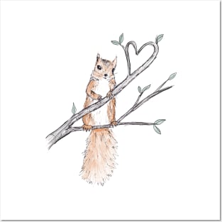 Lovely Little Squirrel Posters and Art